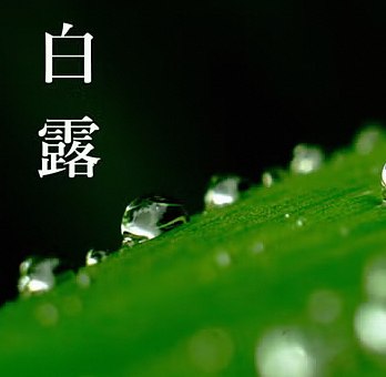 白露｜二十四節気 長月