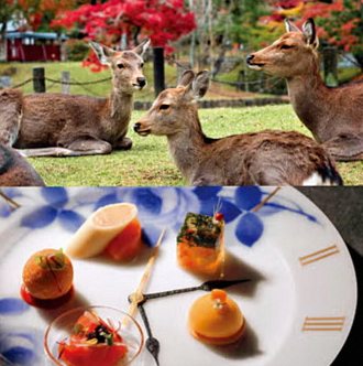 古都・奈良をもっと深く。旅の記憶に残る7つの特別体験