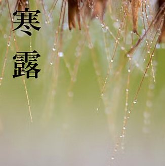 寒露｜二十四節気 神無月
