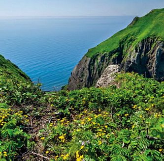 礼文島の風景