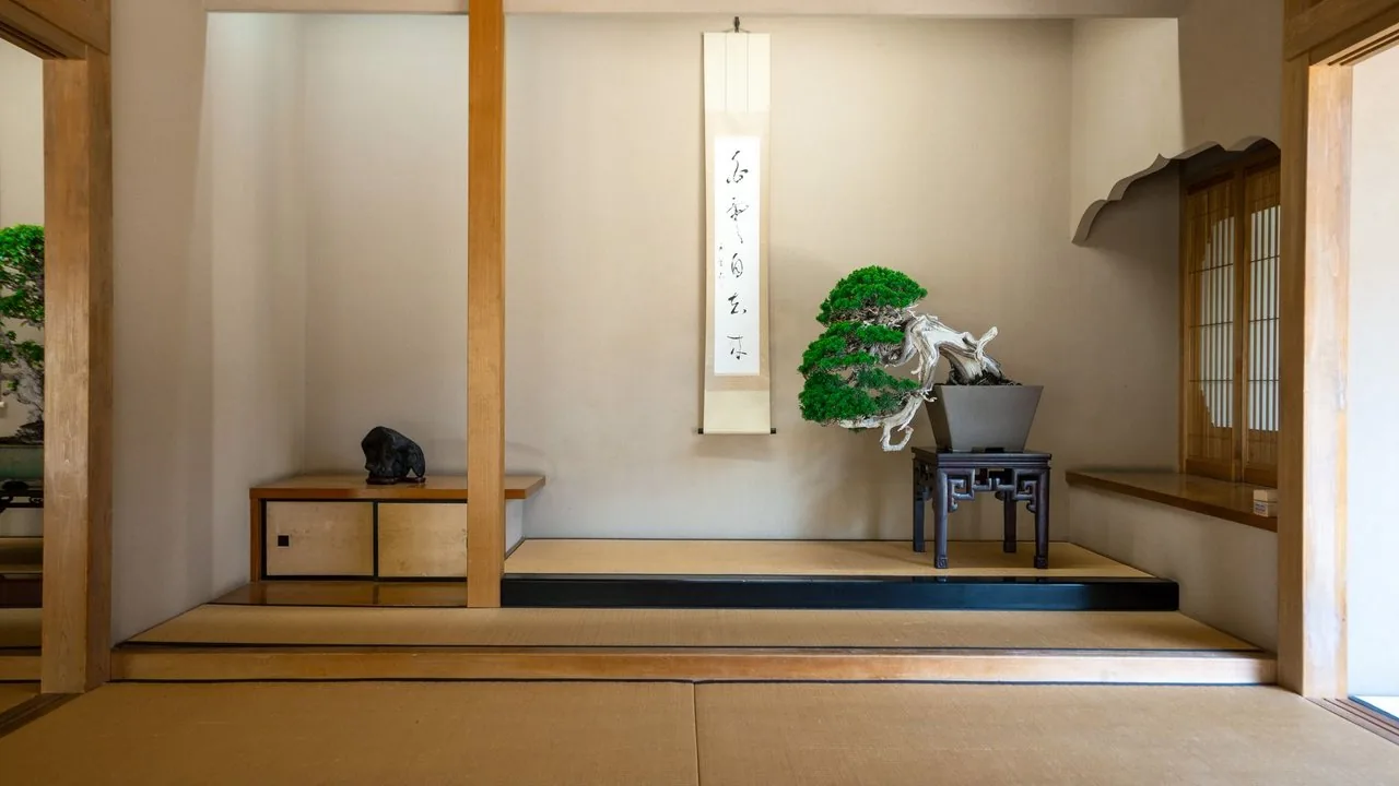 掛け軸と盆栽を飾った床の間（イメージ）